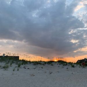 Meet your Posher, Eva